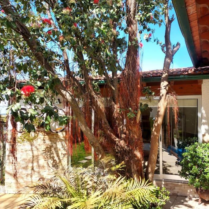 Vila Casat5, Ferias, Piscina Privativa. Agueda, Aveiro Exteriér fotografie