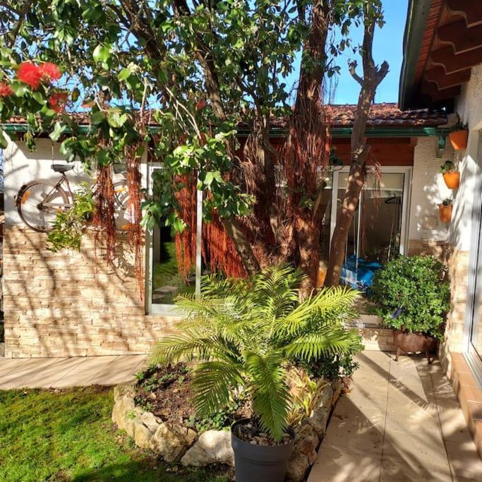 Vila Casat5, Ferias, Piscina Privativa. Agueda, Aveiro Exteriér fotografie