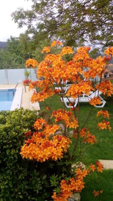 Vila Casat5, Ferias, Piscina Privativa. Agueda, Aveiro Exteriér fotografie